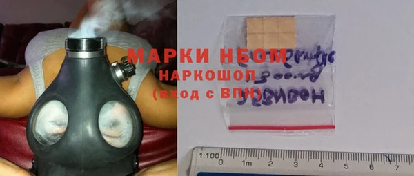 крисы Абаза