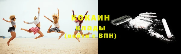 крисы Абаза
