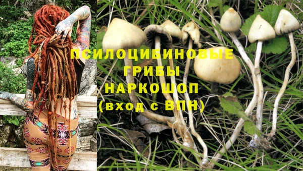 винт Абдулино