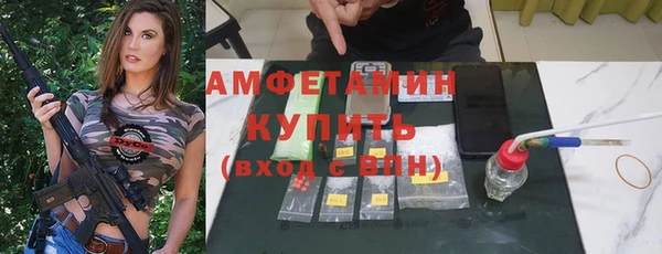 крисы Абаза