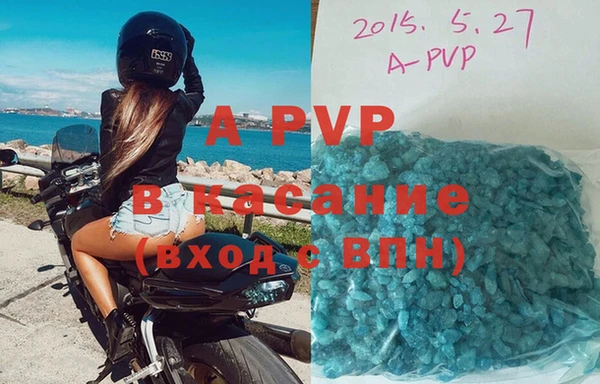 крисы Абаза